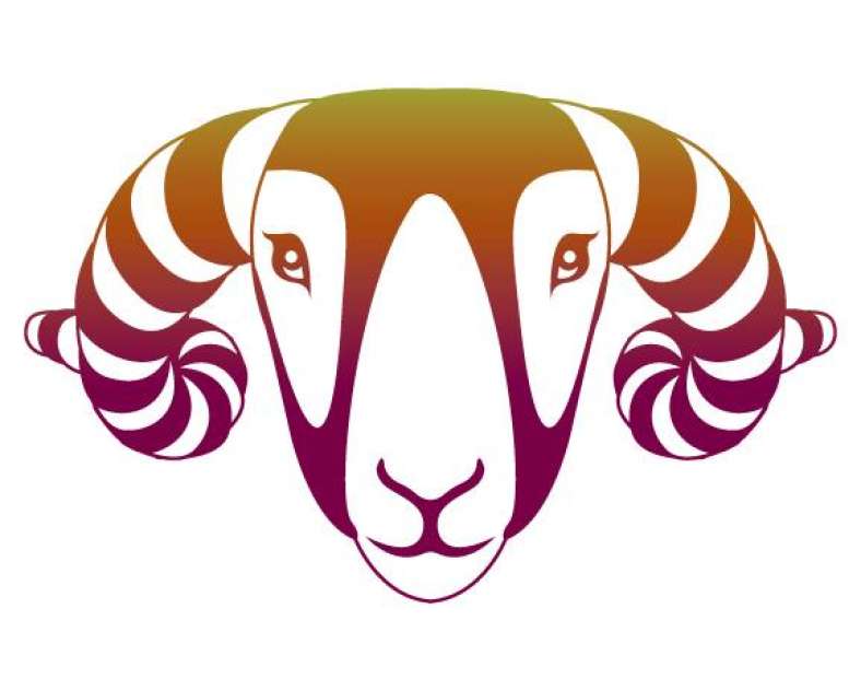 Domaine Les Béliers  Domaine les béliers