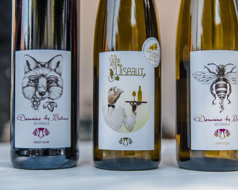 L. Belkrich  Domaine les béliers