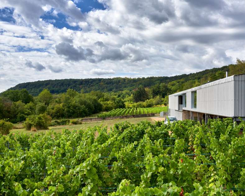 Arnoldi  Domaine les béliers