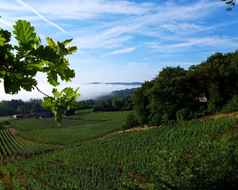 domaine les béliers  Domaine les béliers