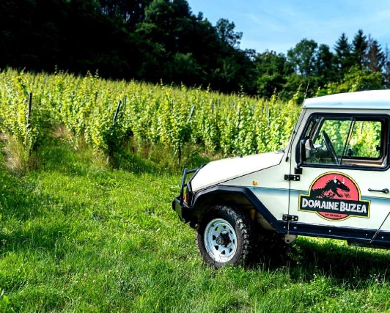 Domaine Georges Constantin Buzea Domaine buzéa g-c