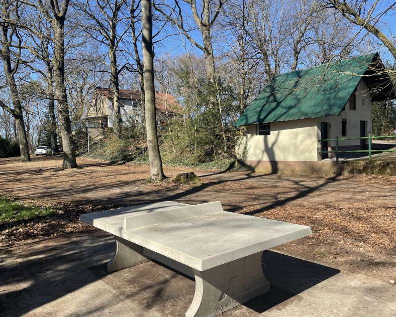 Chalet-gîte les Mélèzes Chalet gîte les Mélèzes