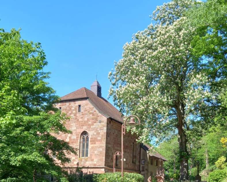 Chapelle Sainte-Croix Guided tour of Chapelle Sainte-Croix