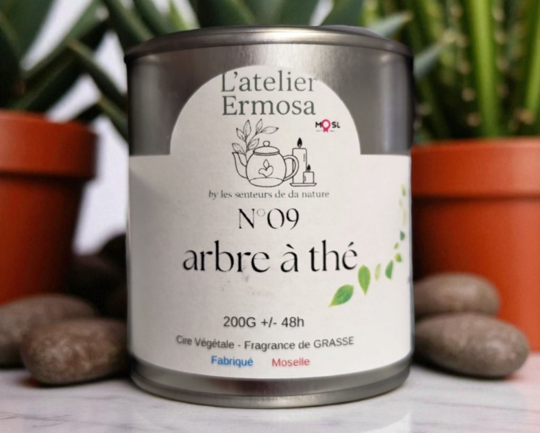 L'Atelier Ermosa by LSN  L'Atelier Ermosa by LSN