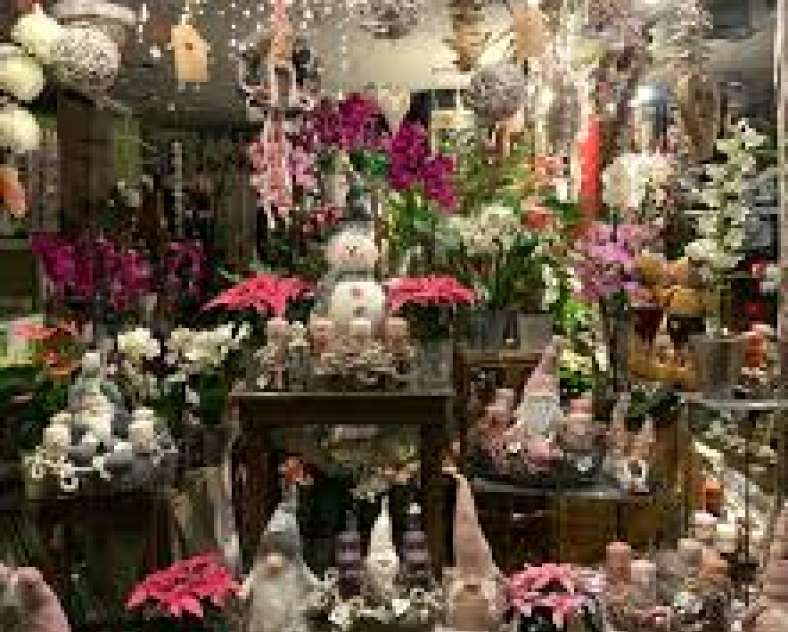 Fleur Giron Fleur Giron