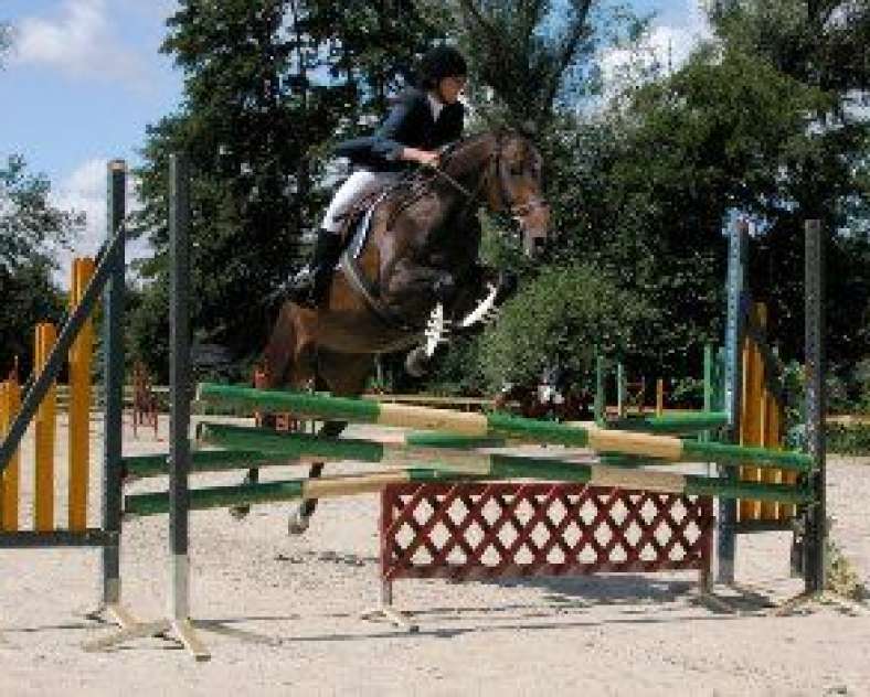 Francis Walesa  Écuries de Marange