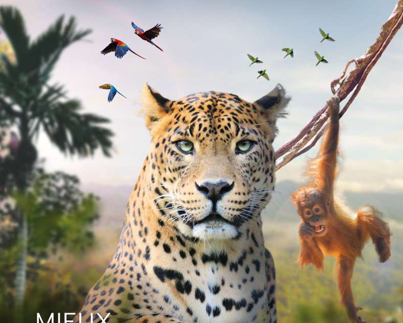 Zoo d'Amnéville Amnéville Zoo