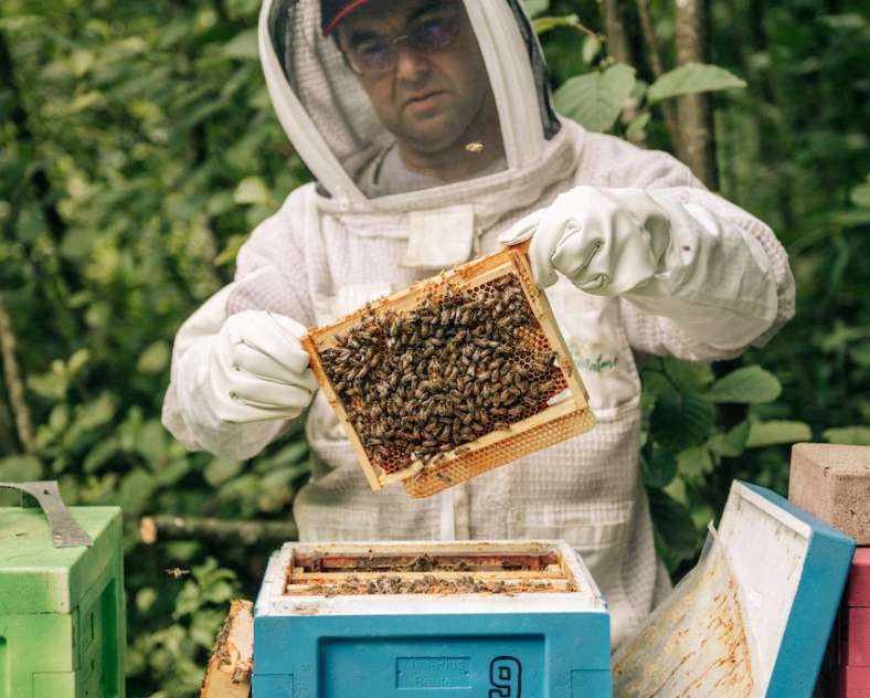 Sarah Aubel Au rucher d'Ay