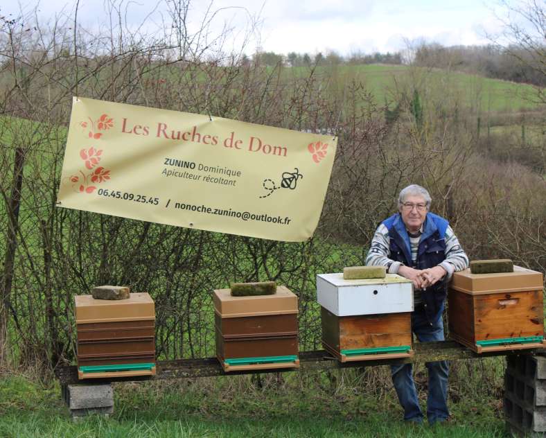 Diverti'Catt Dom's Beehives