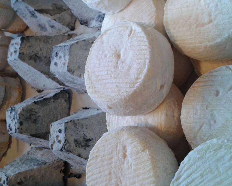 ferme fol épi Fol Épi farm