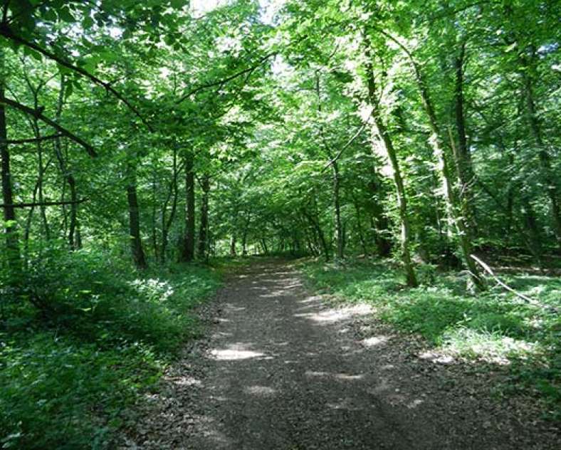 BOUST PEDESTRIAN CIRCUIT