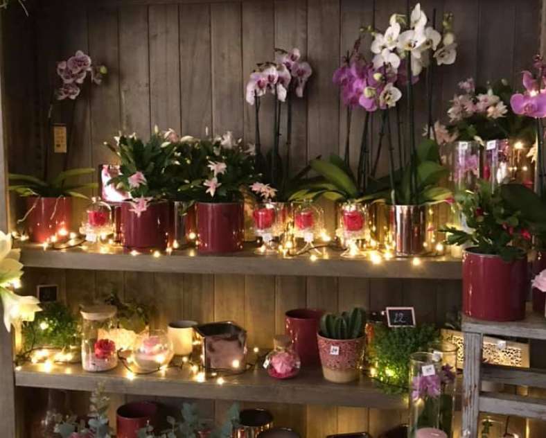 Lavandou Fleurs Lavandou Fleurs