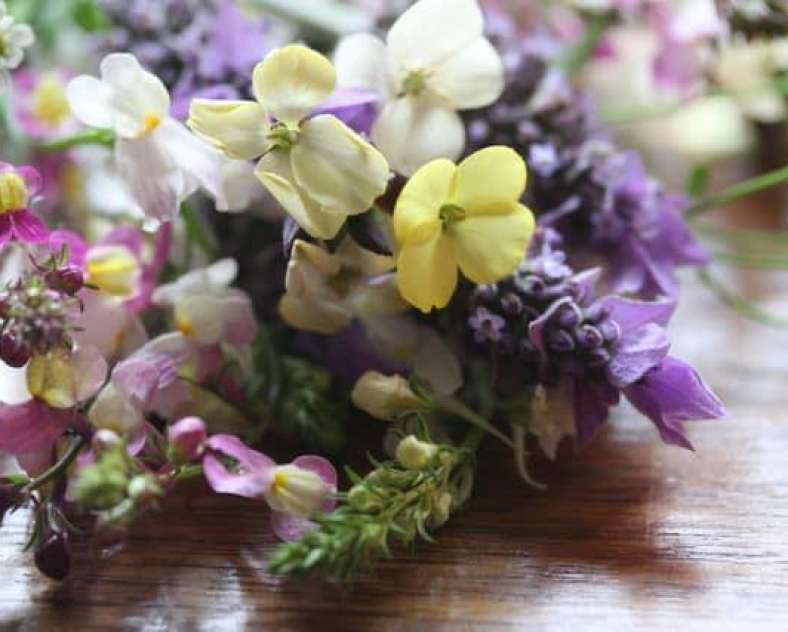 Lavandou Fleurs Lavandou Fleurs