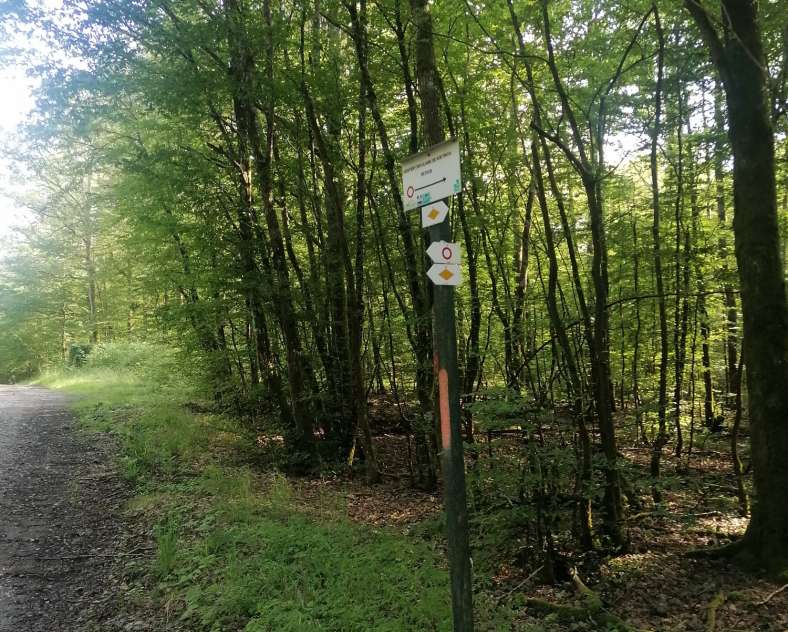 OT CCCE Soetrich trail