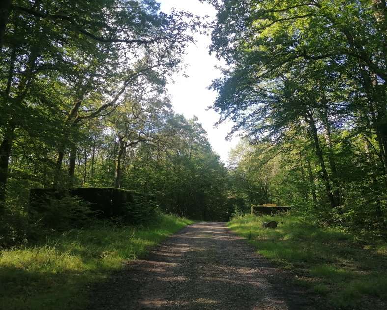 OT CCCE Soetrich trail