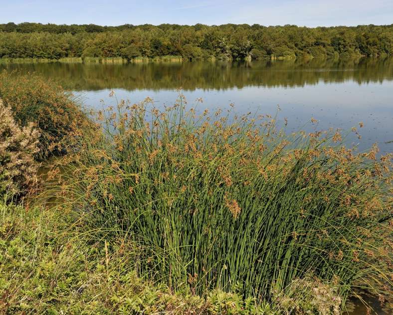 OT CCCE Circular trail around Mirgenbach lake