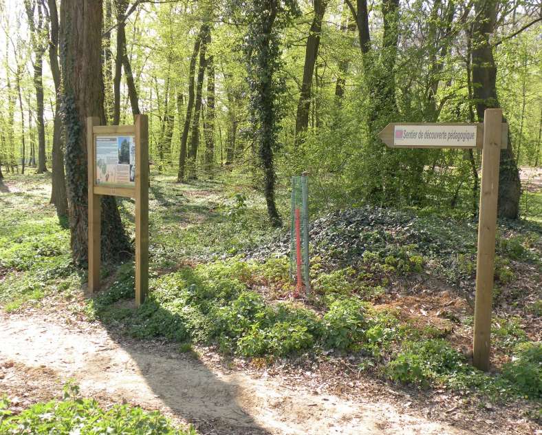 Joël Immer  Helsinger-Wald discovery circuit