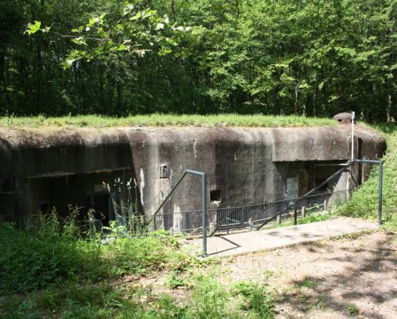 Hugues Schibi Abri du bois de Cattenom
