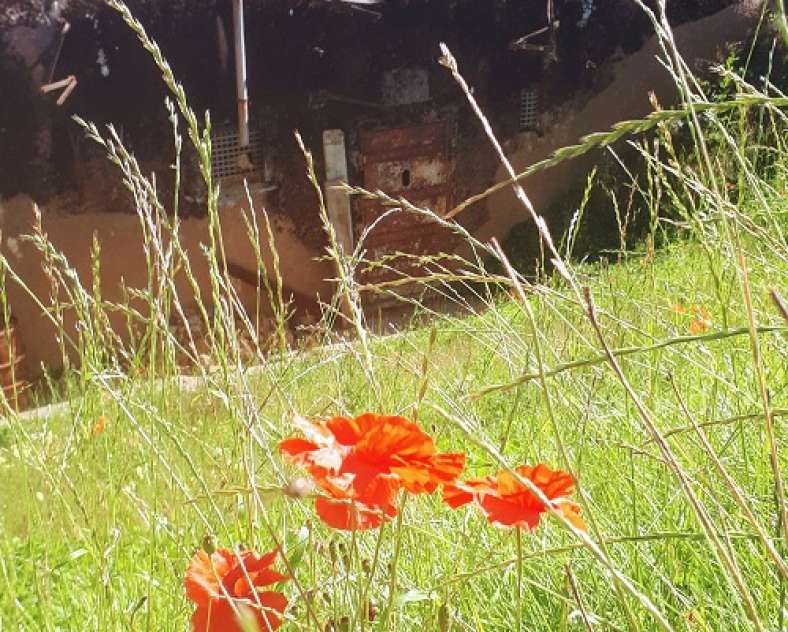 E Cheli CCCE Casemates du Petersberg