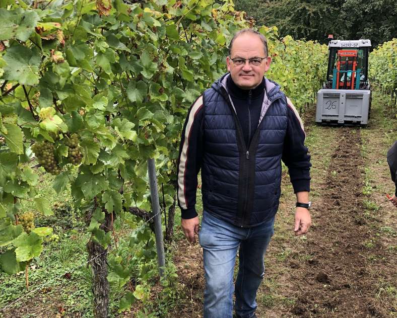 Photo SONTAG Domaine Sontag