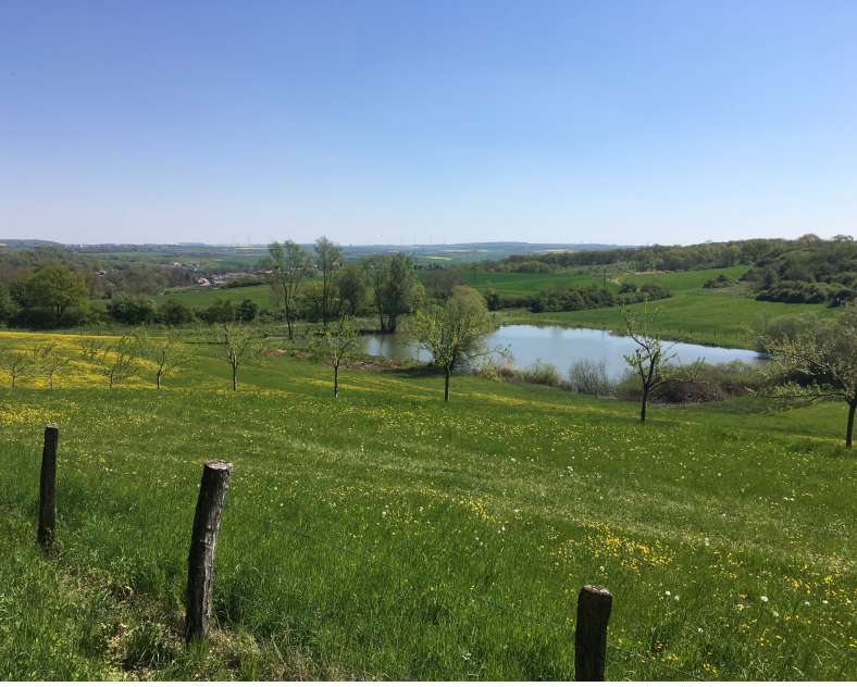 OT CCCE Jean-Marie Pelt trail - family loop