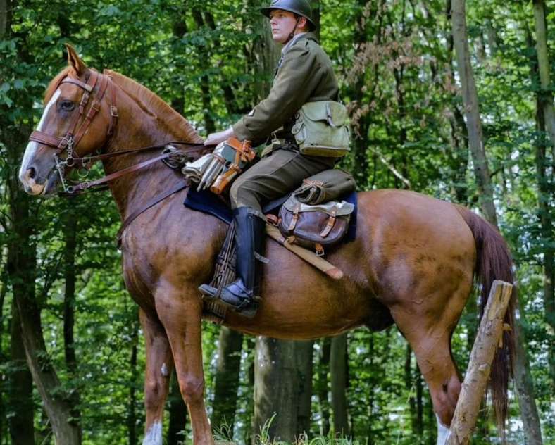 ASPMH-Les loups de la Moselle Casemates du Bois de Kanfen
