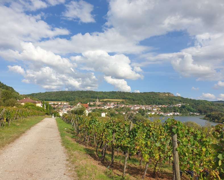 OT CCCE Fun trail - Le Vin de Contz-les-Bains