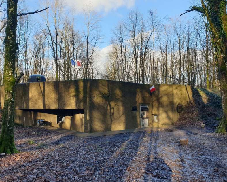 CCCE 5 ans de l'association - Les loups de Moselle