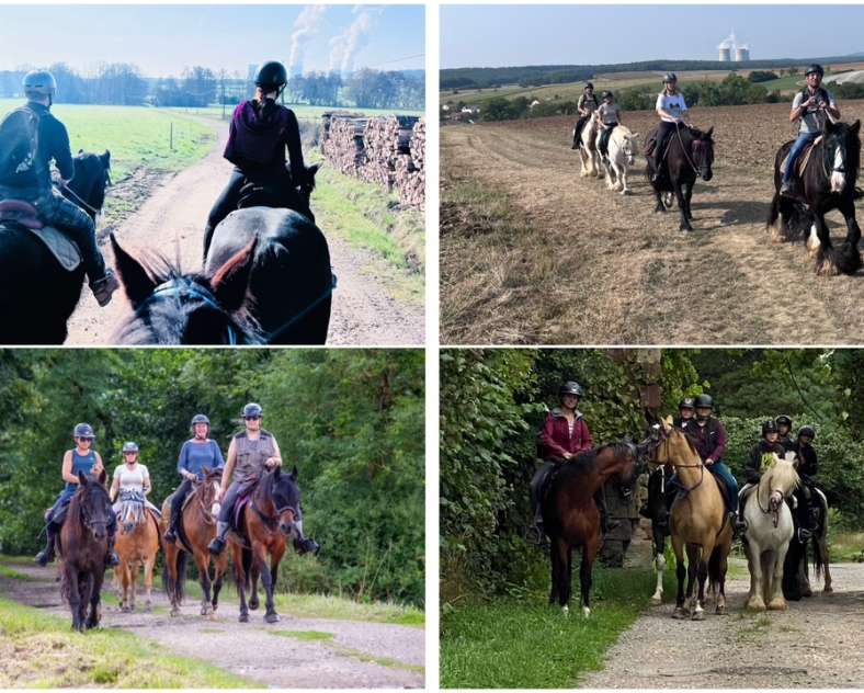 Delphine Trocnet Equi'del