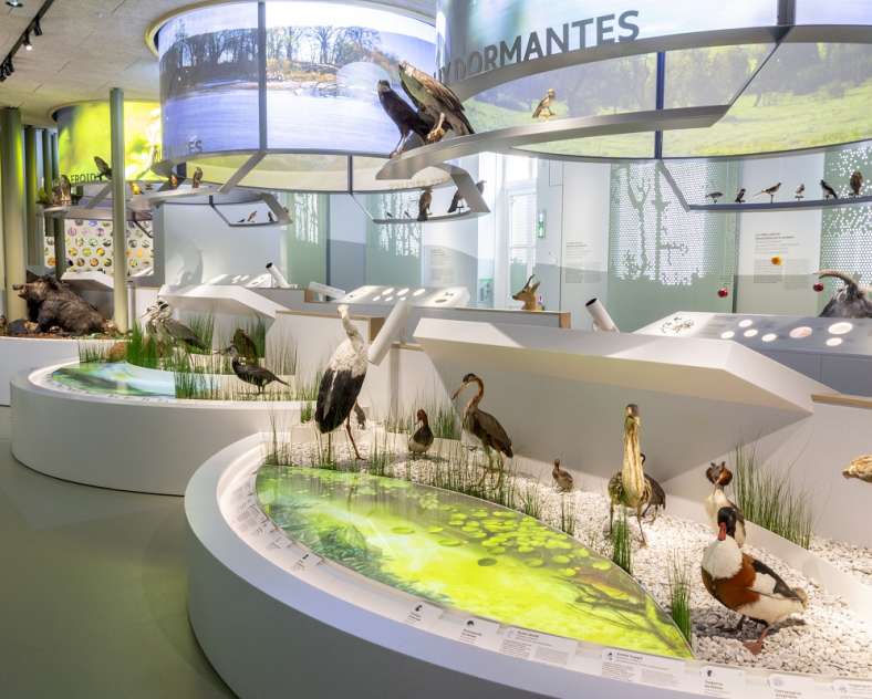 Laurianne KIEFFER - Musée de La Cour d'Or - Eurométropole de Metz Musée de La Cour d'Or - Eurométropole de Metz