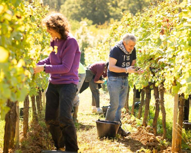 G. Ramon  Château de Vaux - Molozay vineyards