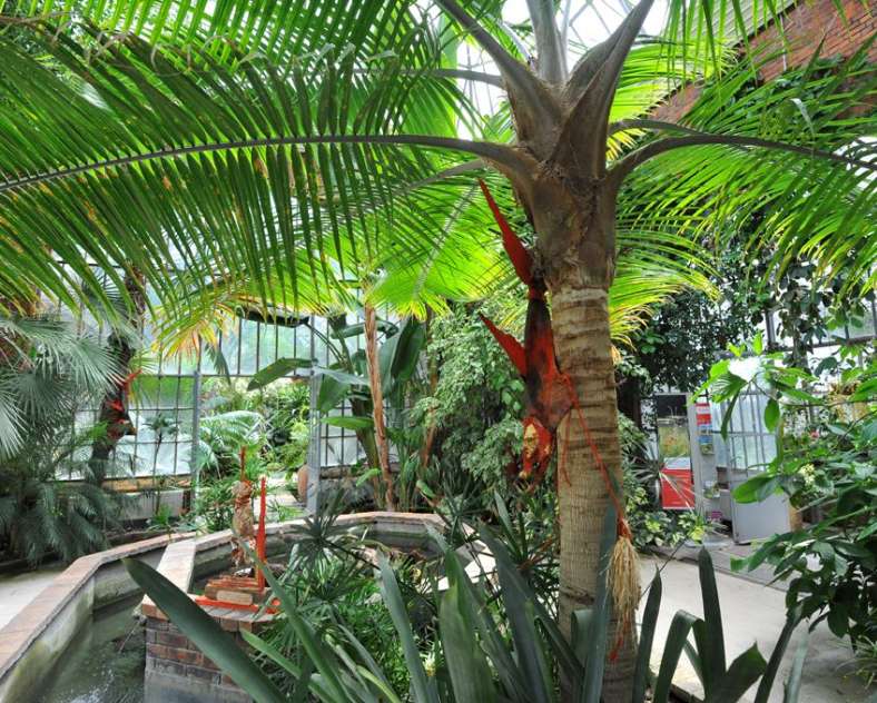 Philippe Gisselbrecht / Office de Tourisme de Metz Metz Botanical Garden