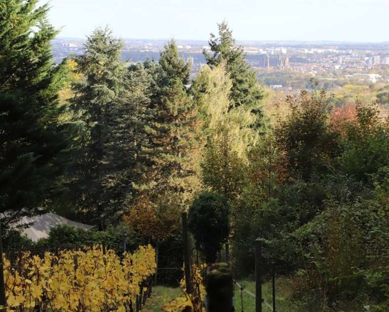 Commune de Plappeville  Les pelouses calcaires de la Taye aux Vaches