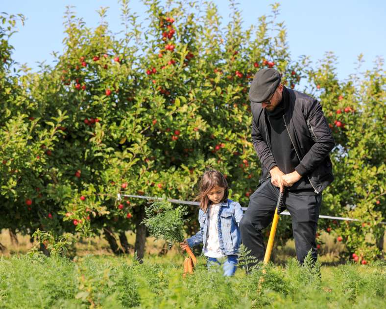Studio Hussenot Cueillette de Peltre