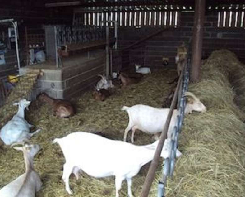 La Biquetterie  La Biquetterie farm