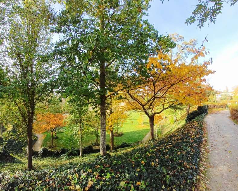 Service communication/Mairie de Montigny-lès-Metz Garden in front of Blory