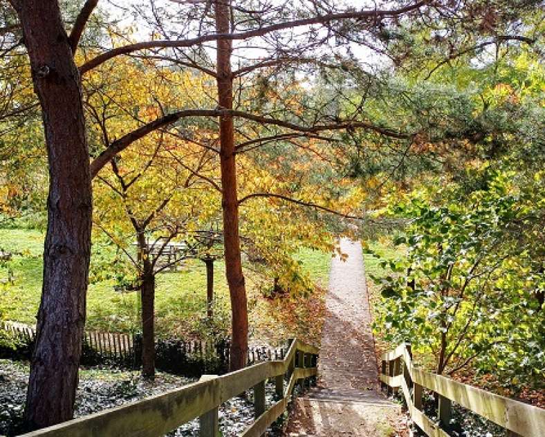Service communication/Mairie de Montigny-lès-Metz Garden in front of Blory