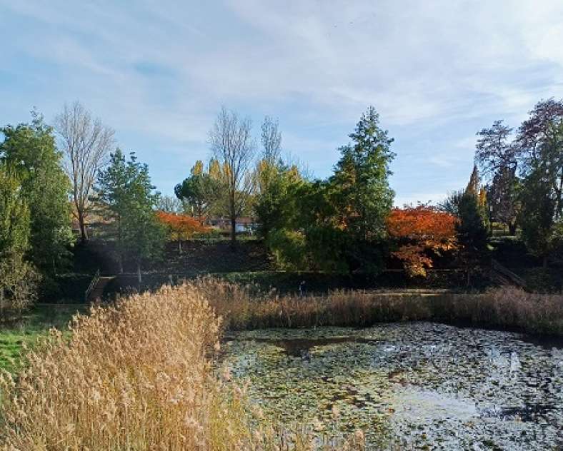 Service communication/Mairie de Montigny-lès-Metz Garden in front of Blory