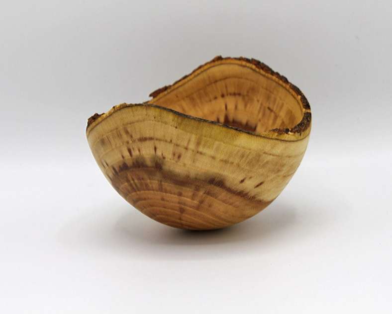 Au delà des Arbres Woodturning workshop - Au delà des arbres