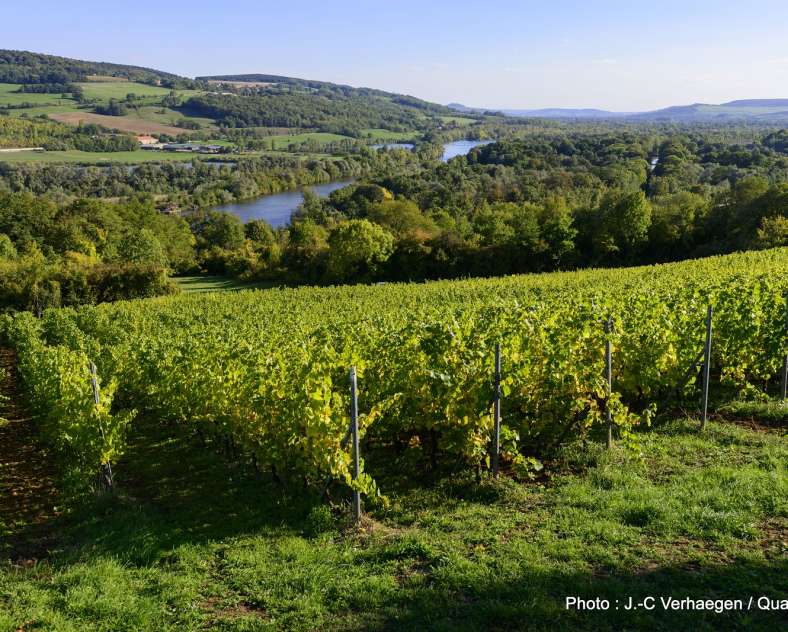 J.C. Verhaegen / QuattroPole Patrimoine et terroir