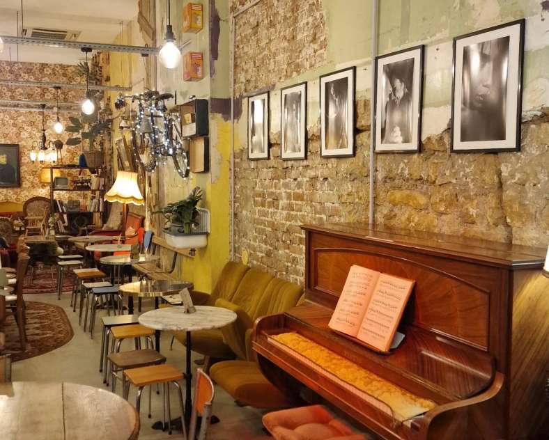 Fox Coffee Metz Fox coffee