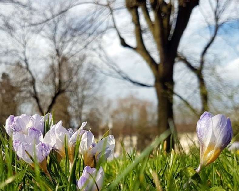 TE / Agence Inspire Metz Visite guidée de Metz - Flânerie dominicale