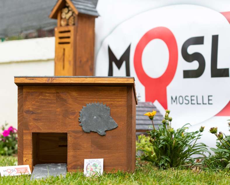 Laetitia Lhermite La boutique d'Émilie