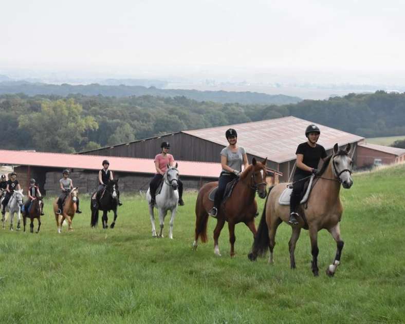 Les écuries de Féy Les écuries de Fey