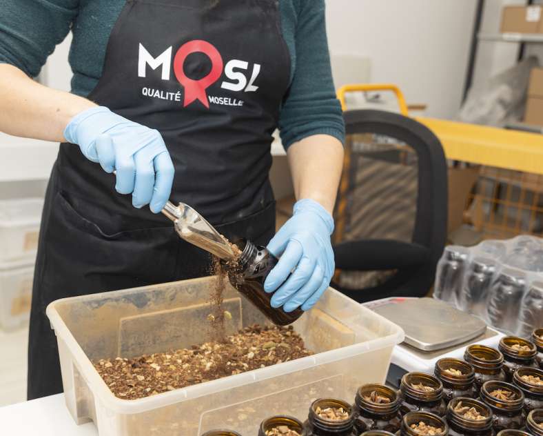 Laetitia Lhermite  Greenma