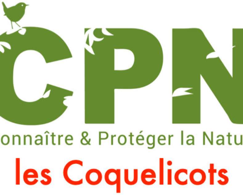 DR - source Ville de Metz Atelier - jardin partagé