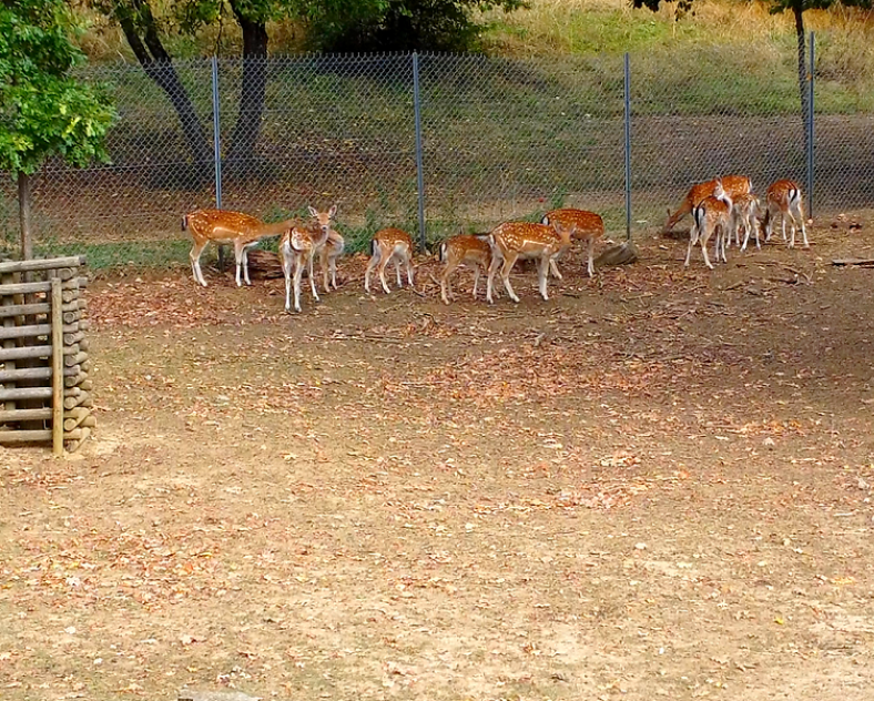 Ville de Woippy Parc du Pâtis