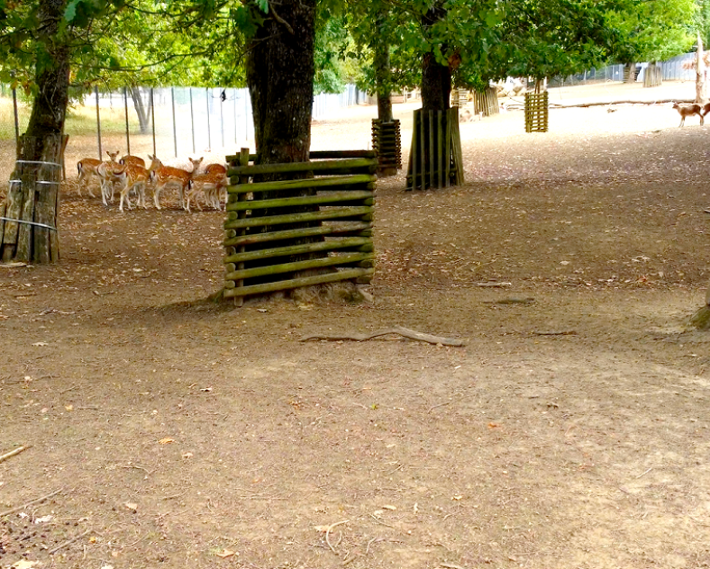 Ville de Woippy Parc du Pâtis