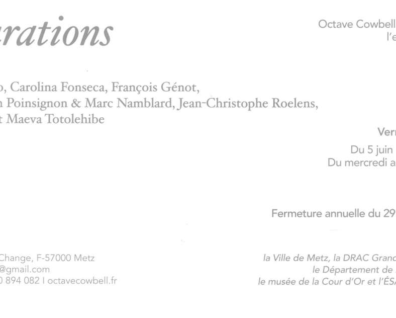 Les allures, François Génot Exposition - Murmurations