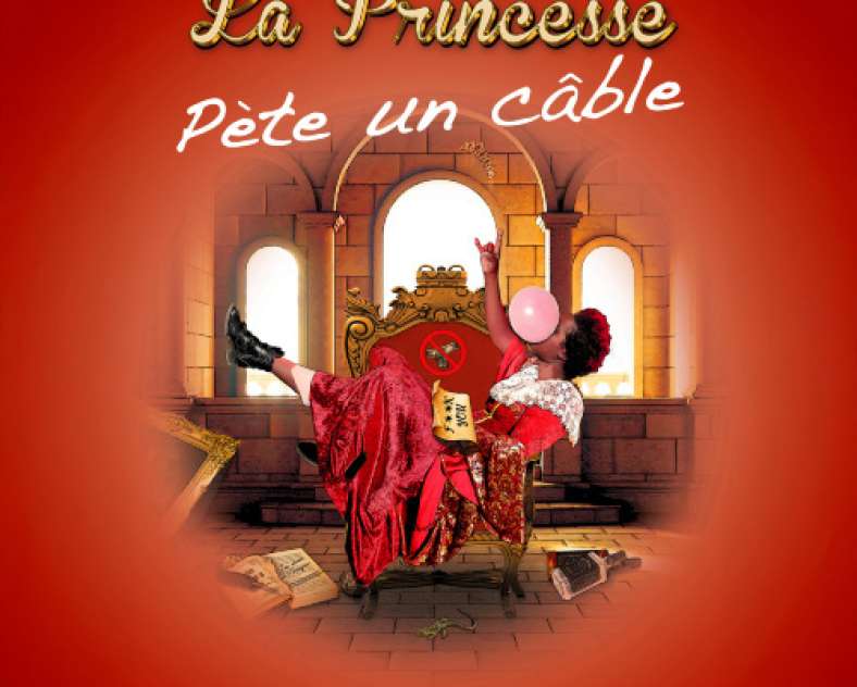 DR - source Ville de Metz Spectacle - La Princesse Pète un Câble